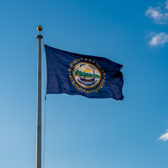 new hampshire flag on flagpole
