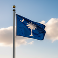 south carolina flag on flagpole